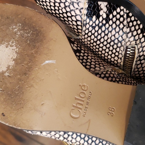 Chloe Snakeskin Ankle Boots with Gold Buckles - Picture 11 of 16